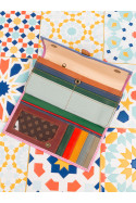 CARTERA SPICE 011
