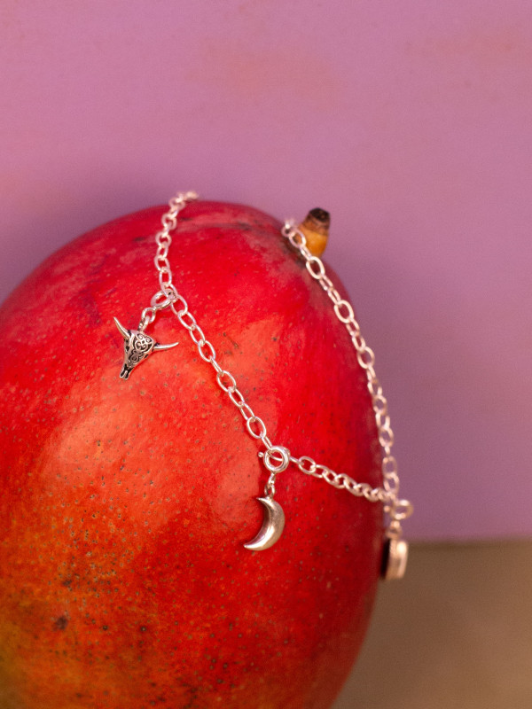 SMALL SILVER CHAIN 2